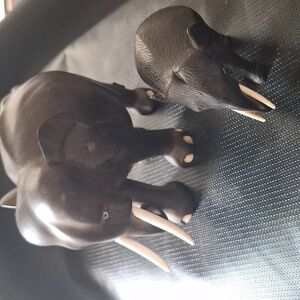 Ceylonese Carved Ebony Elehant With Bone Tusks Wood Hand Carved From The 20th C